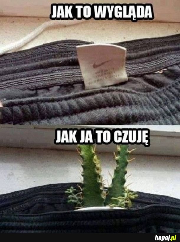 Zawsze obcinam