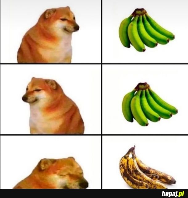 Typowe banany