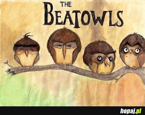 The Beatowls