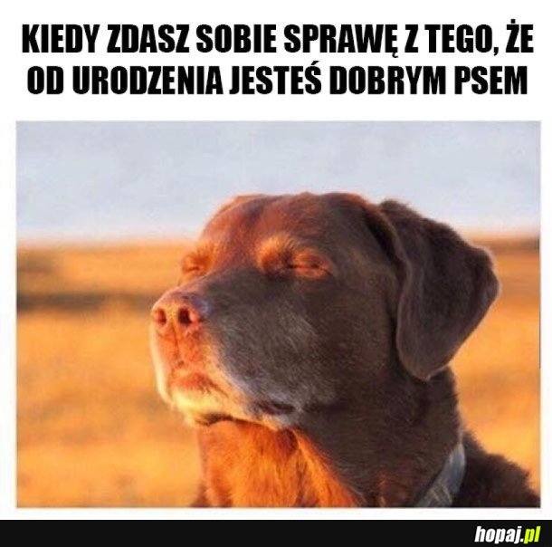 MOJE ŻYCIE TAKIE PIĘKNE