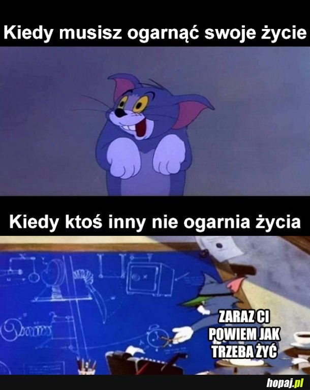 Ogarnianie życia