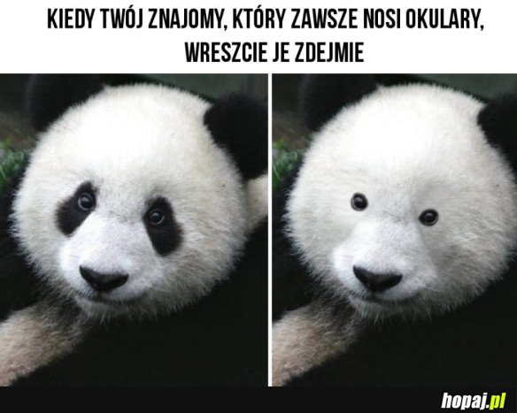 TAK TO WYGLĄDA