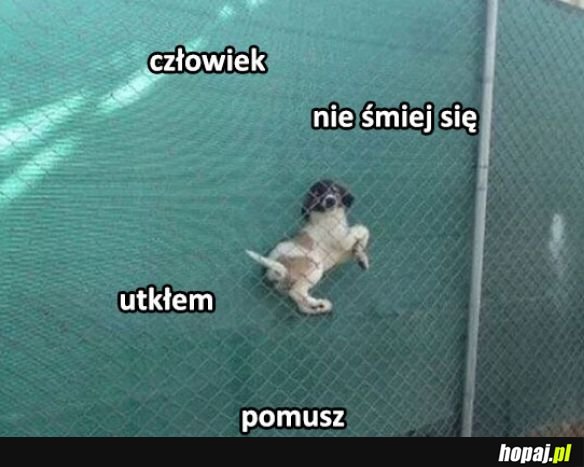 Człowieku pomocy