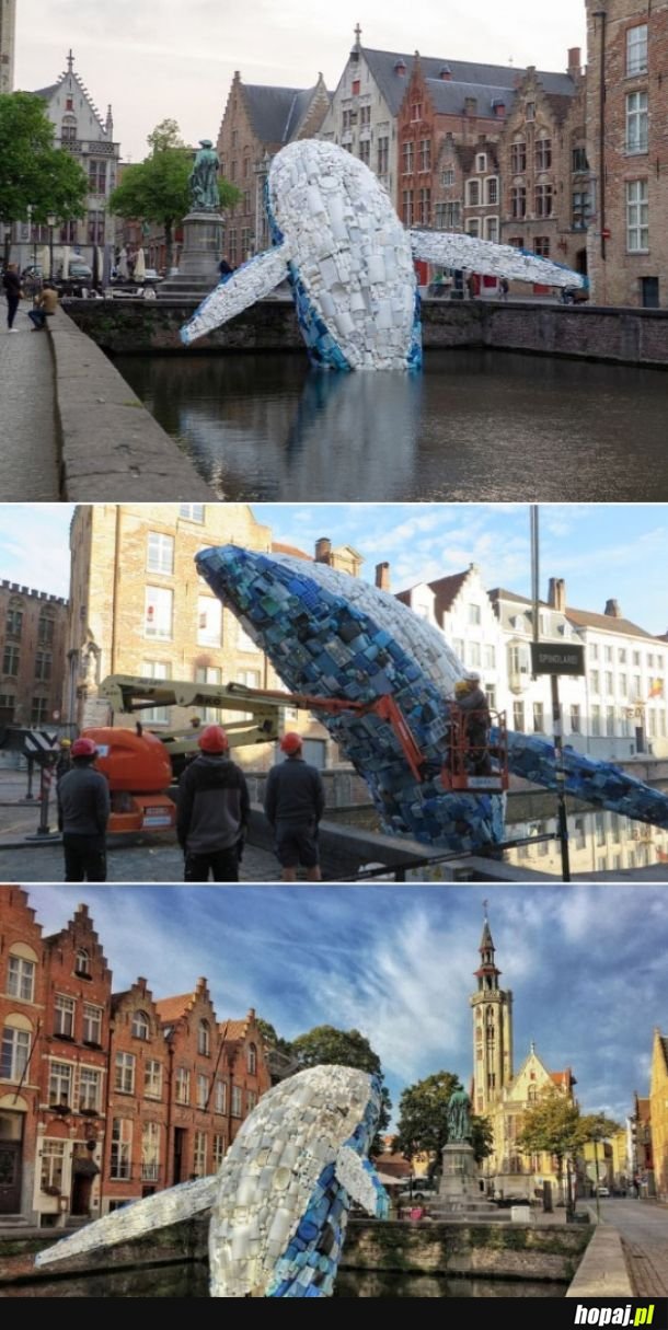 5 ton plastikowych śmieci