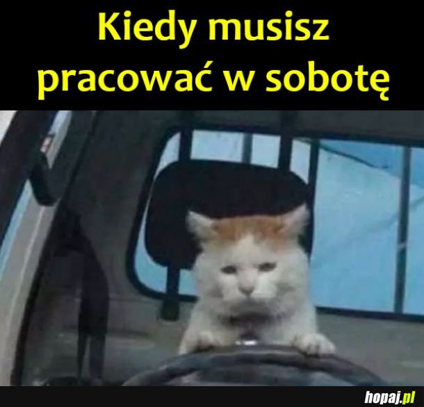 Praca