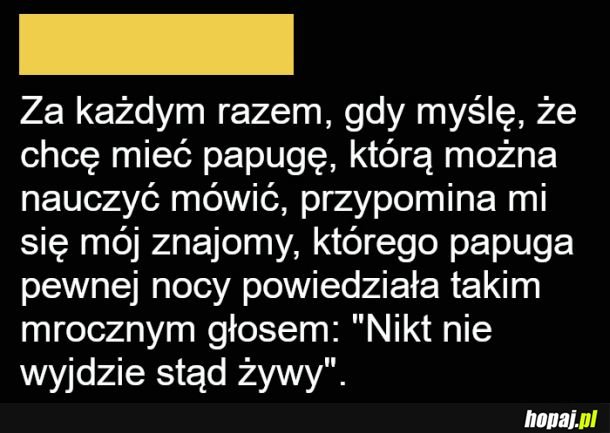 Gadająca papuga