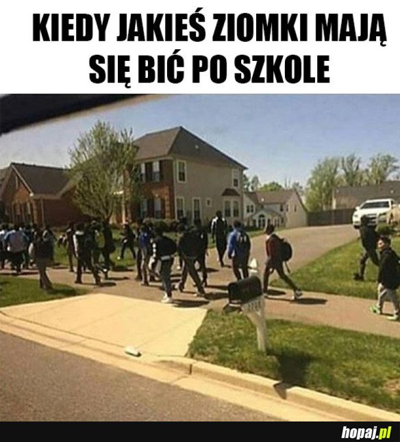 USTAWKA PO SZKOLE