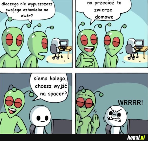Człowiecze zwierzątko