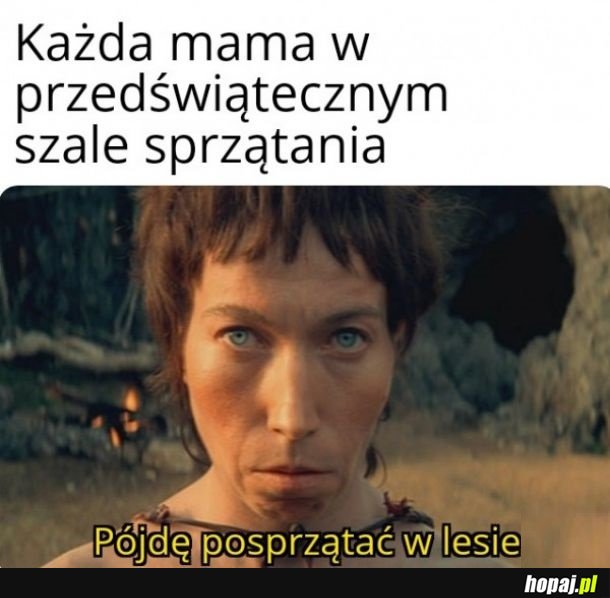 Świąteczne sprzątanie