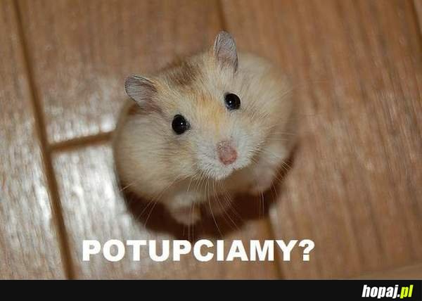 Potupciamy?