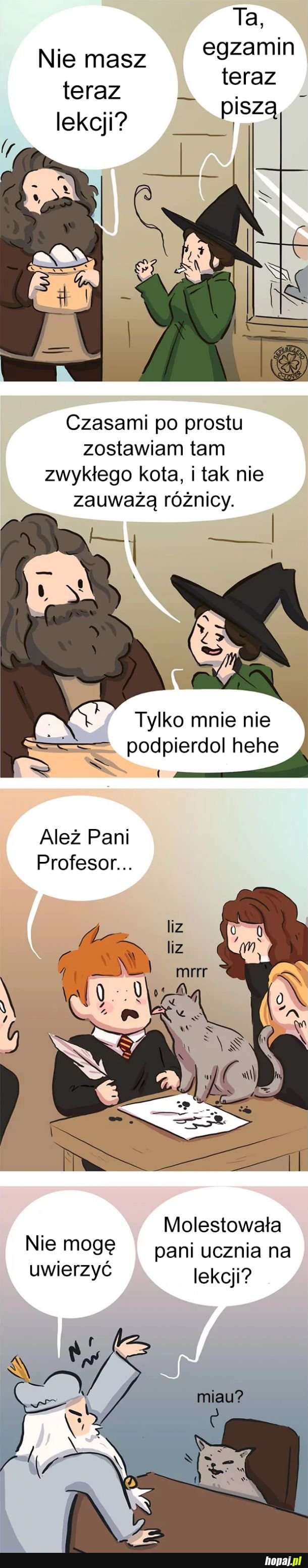 Animag może dużo