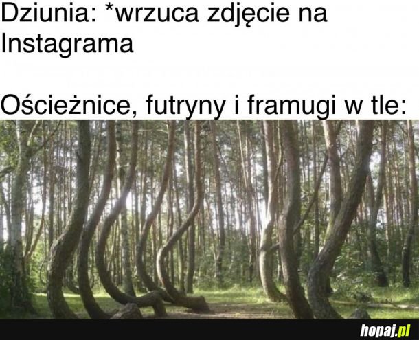 Fotoszop? Nieee...