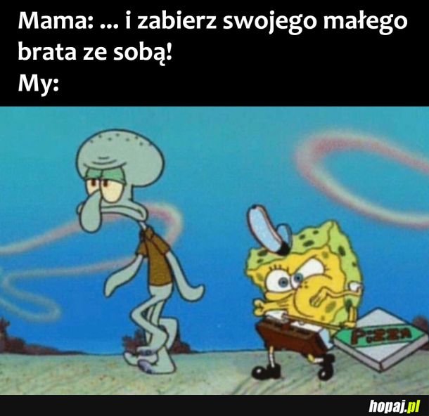 Ja i mój brat 