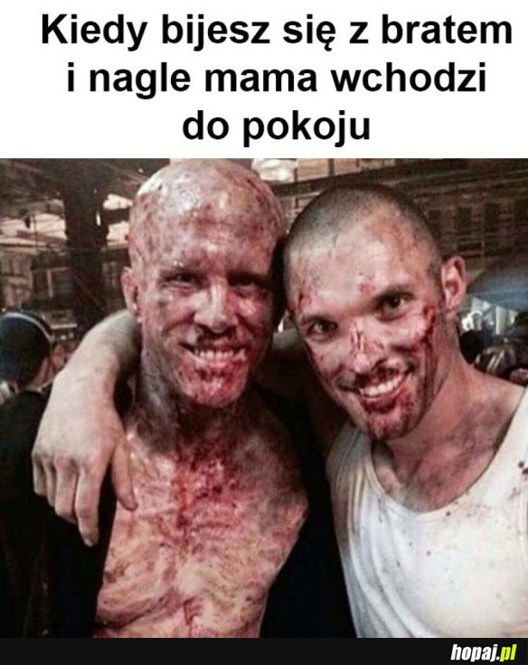 MY SIĘ WCALE NIE BILIŚMY