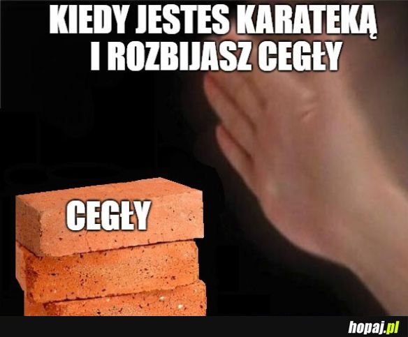 Życie karateki