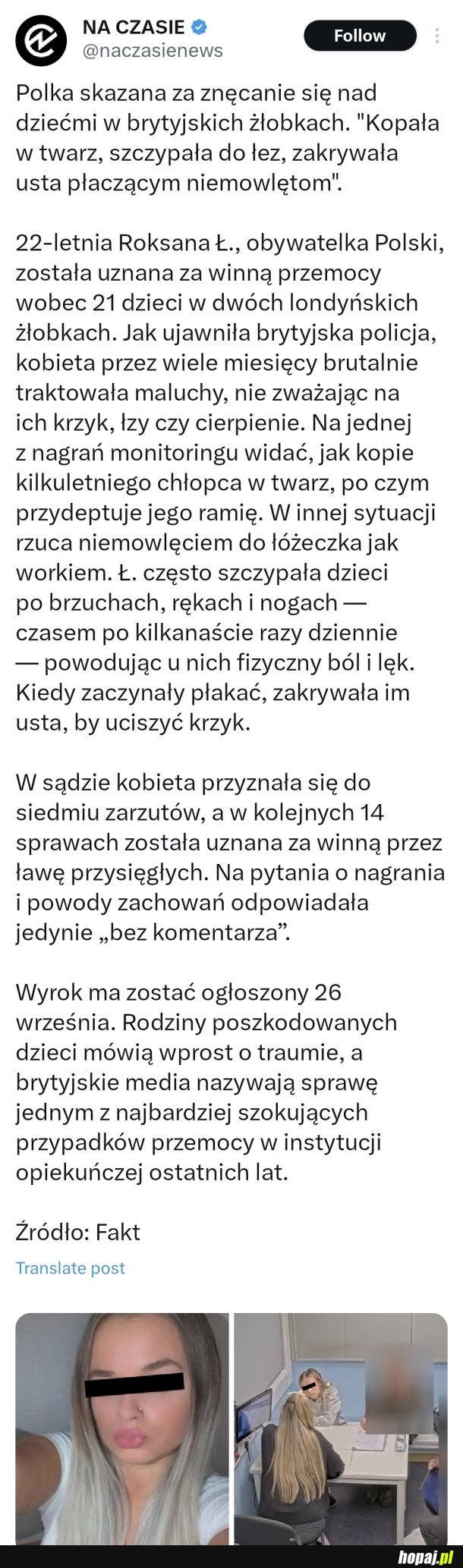 Imigrolskie bydło p0lskie