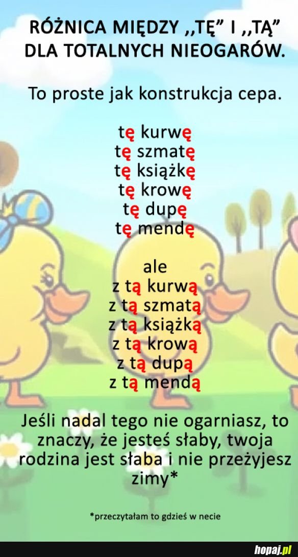 Trochę edukacji