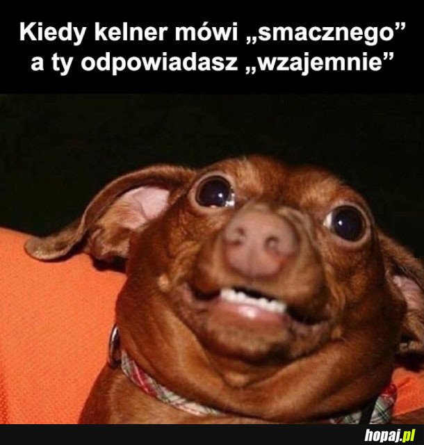 SMACZNEGO