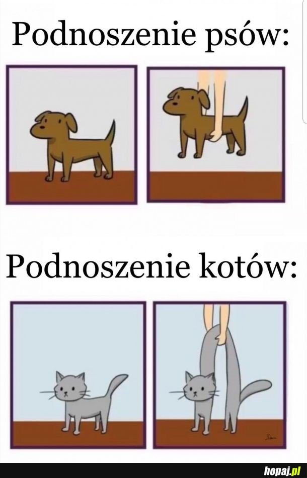 Dokładnie tak!