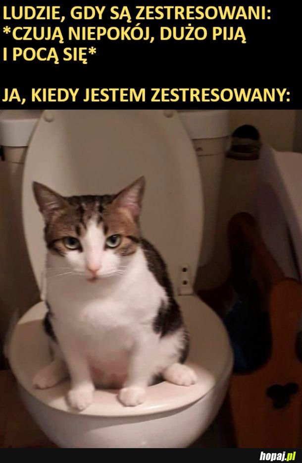 Kiedy jestem zestresowany