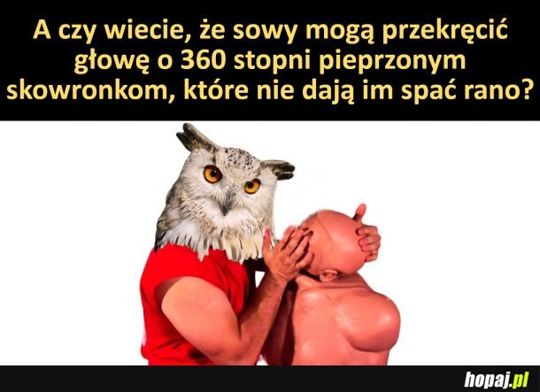 Wiedzieliście o tym?