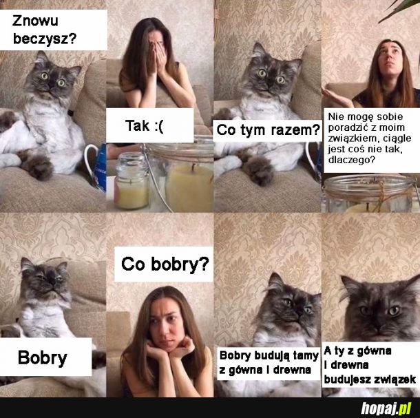 Kitku dobrze radzi
