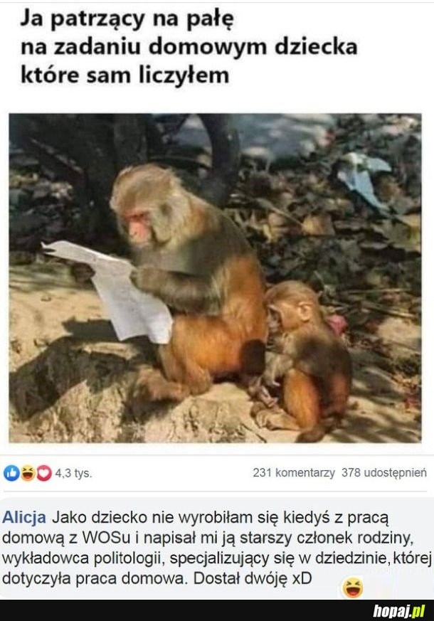 I weź się przyczep do nauczyciela, nie ma jak