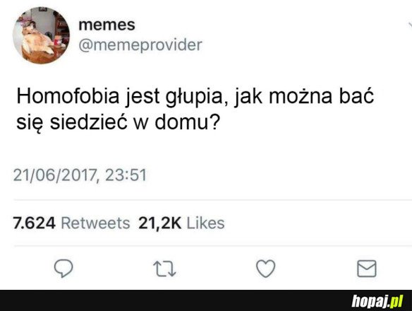 GŁUPIA HOMOFOBIA