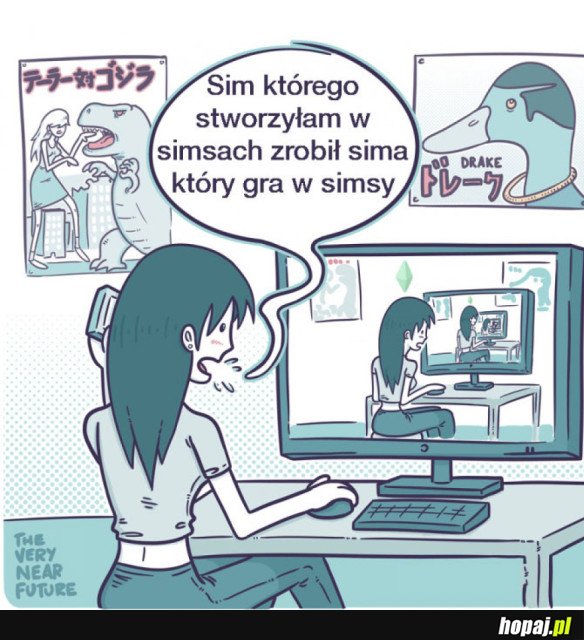 Simcepcja
