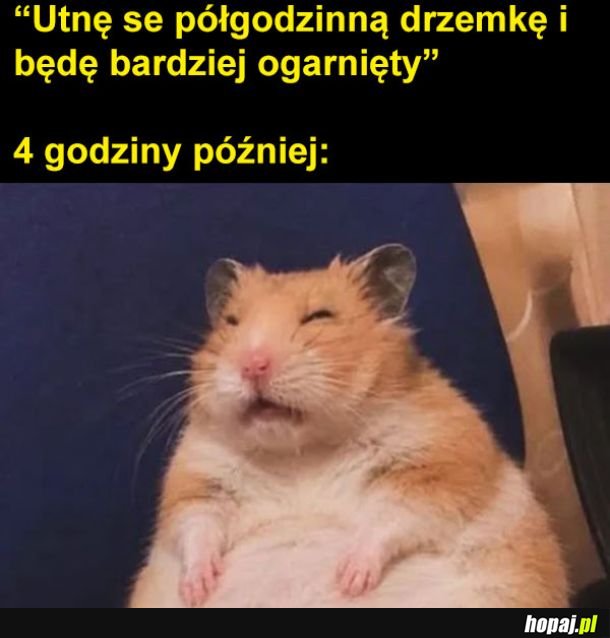 Który mamy rok i kim jestem