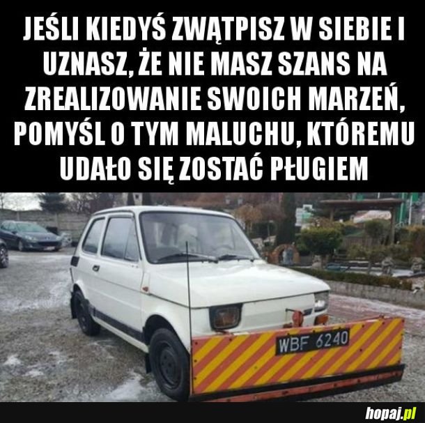 Nigdy się nie poddawaj!