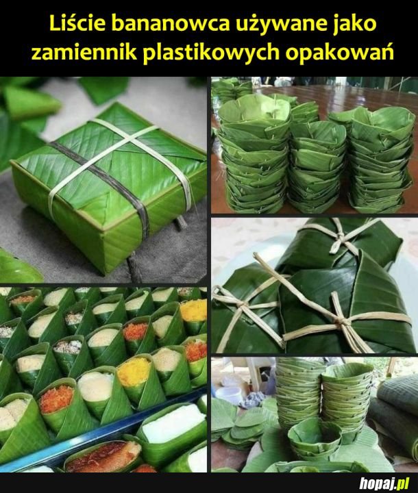 Ciekawy zamiennik