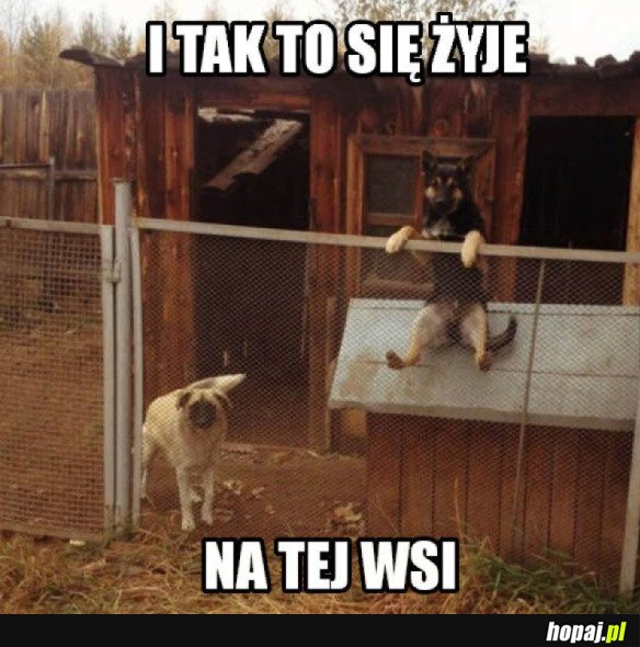 I TAK TO SIĘ ŻYJE...