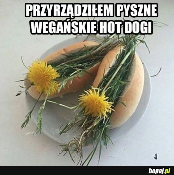 WEGAŃSKIE HOT DOGI