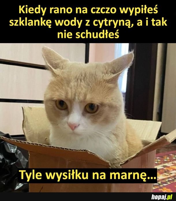 Tyle wysiłku na marne...