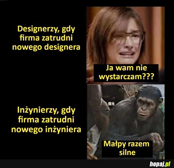 Małpy razem silne