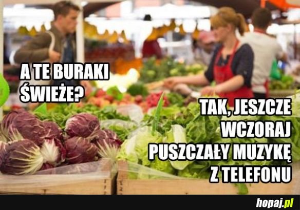 Świeże buraki