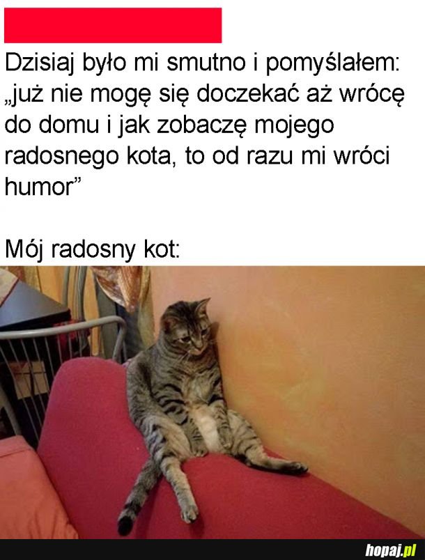 Radość aż kipi