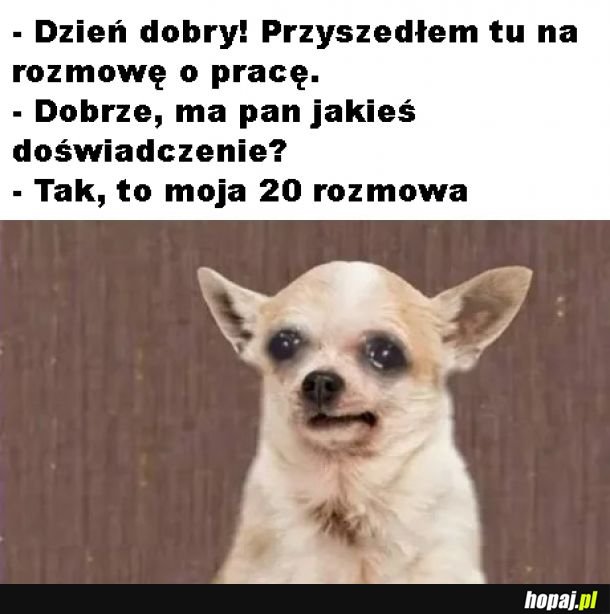 Doświadczenie