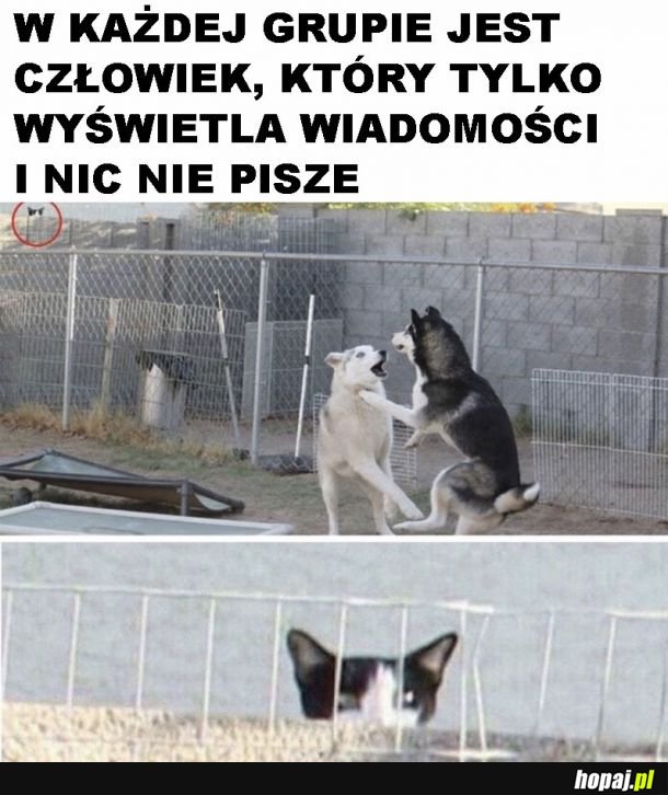 Milczek