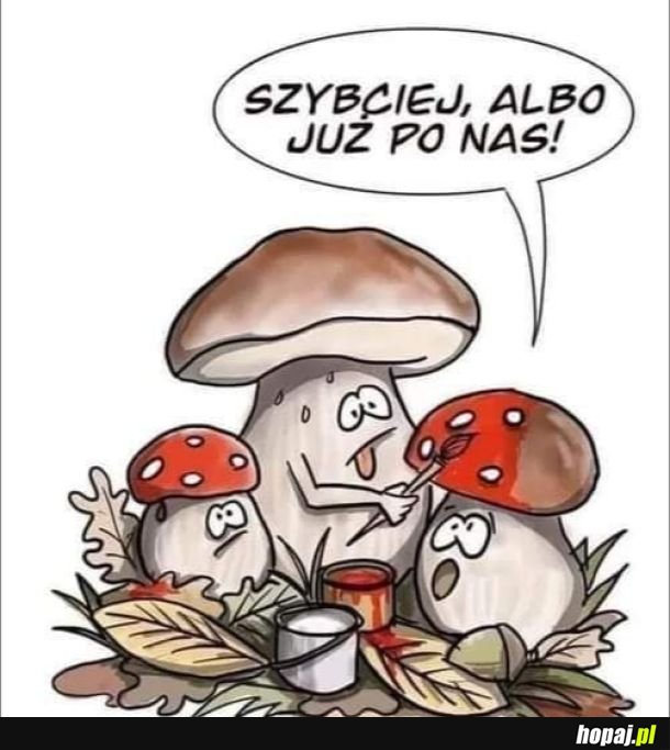 Kamuflaż