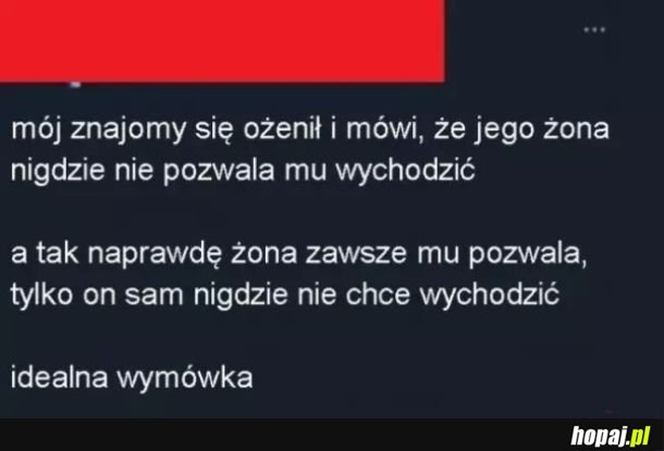Xd