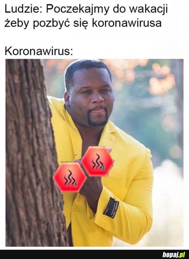 Koronawirus