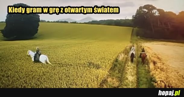 Typowy open world exp