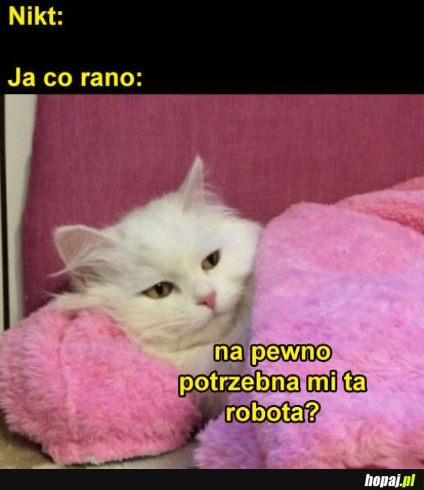 Wstawanie do pracy