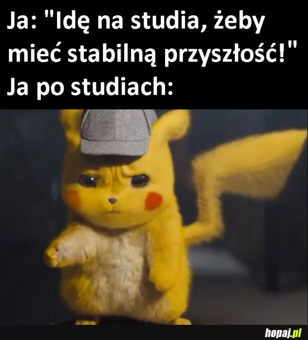  Studia... 