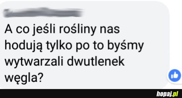 Hmmm... 