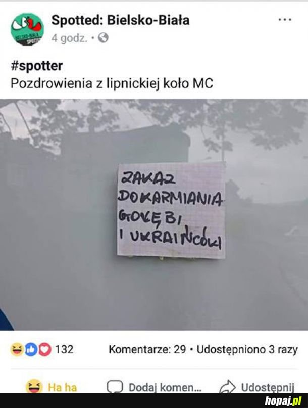 Bielsko wita