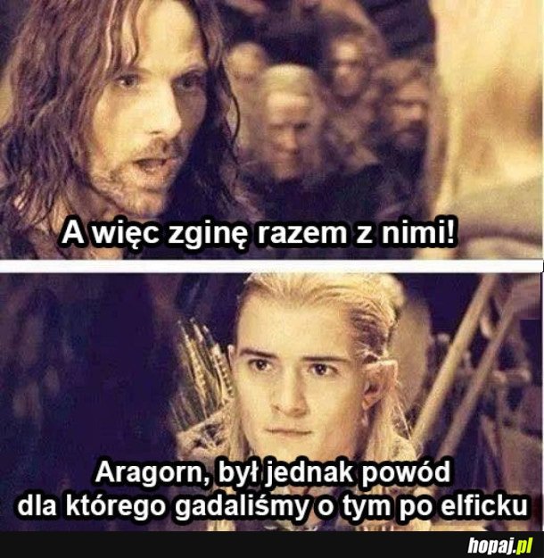 ARAGORN XD