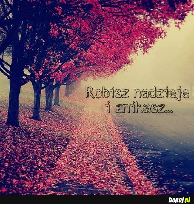 Robisz nadzieje i znikasz